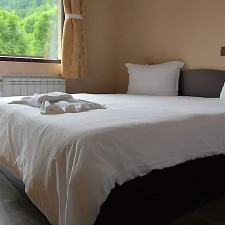 Hotel семеен балканъ-априлци Apriltsi (Lovech)