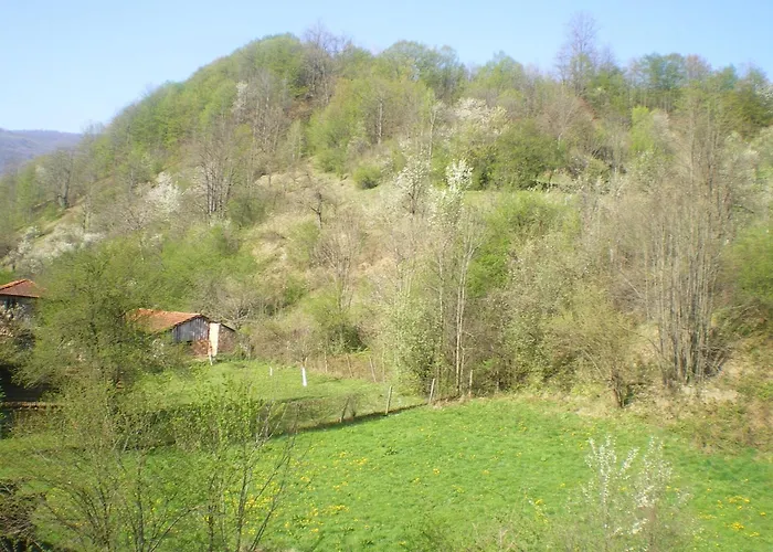 酒店 семеен балканъ-априлци 阿普里尔齐